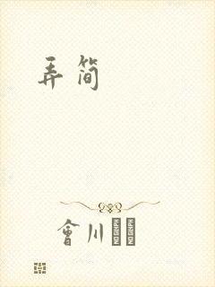 《弄简》小说封面