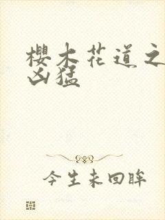 樱木花道之重生凶猛