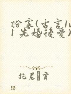 盼寡(古言1v1 先婚后爱)