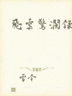飞云惊澜录
