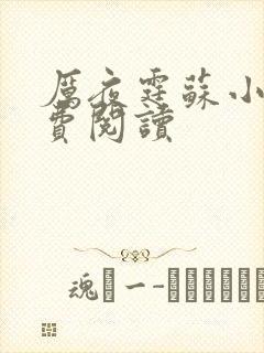 厉夜霆苏小汐免费阅读