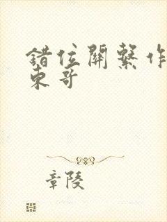 《错位关系作者:东哥》小说封面