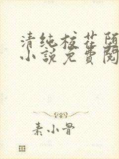 清纯校花堕落记小说免费阅读