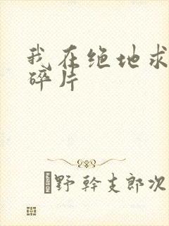 我在绝地求生捡碎片