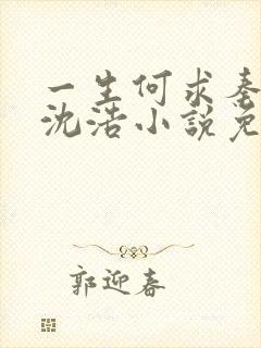 一生何求秦菲雪沈浩小说免费阅读全文