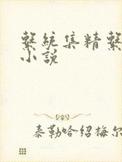 系统集精系统 小说