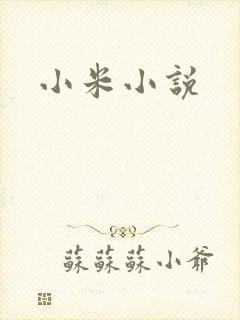 小米小说