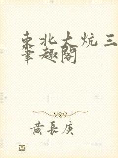 东北大炕三部曲笔趣阁