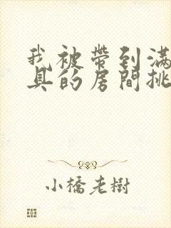 我被带到满是玩具的房间挑调作文