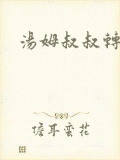 汤姆叔叔转接口