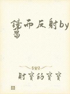 镜面反射by九葛