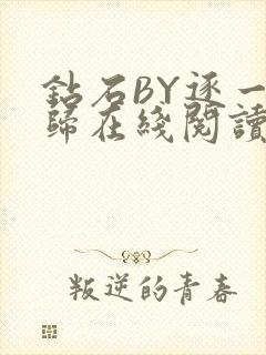 钻石BY逐一而归在线阅读