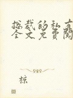 总裁的私有宝贝全文免费阅读