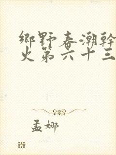 乡野春潮干柴烈火第六十三章
