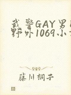 武警GAY男同野外1069小说封面