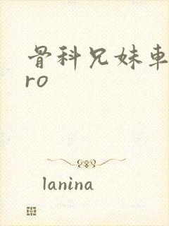 骨科兄妹车多pro