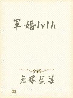 军婚1v1h