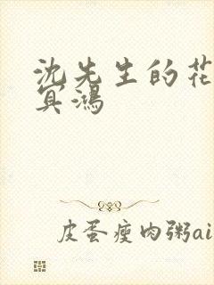 沈先生的花式调冥鸿