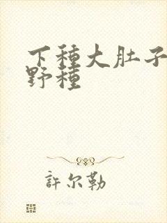 下种大肚子怀孕野种