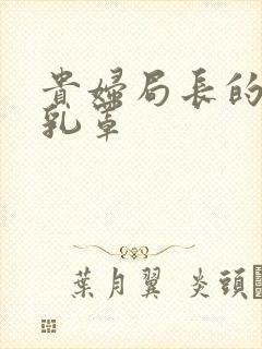 贵妇局长的蕾丝乳罩