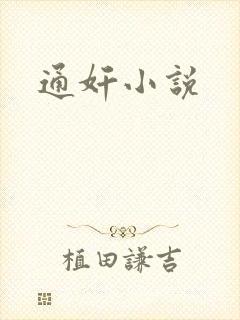 通奸小说