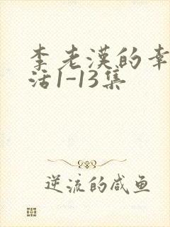 李老汉的幸福生活1-13集