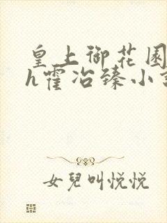 皇上御花园hlh霍冶臻小说