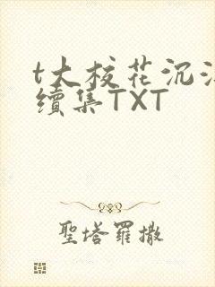 《t大校花沉浮录续集TXT》小说封面