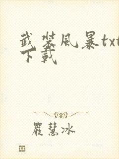 武装风暴txt下载