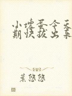 小坏蛋今天危险期快拔出来