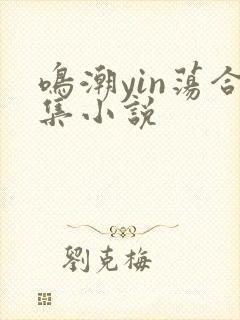 鸣潮yin荡合集小说