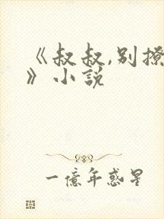 《叔叔,别撩我》小说