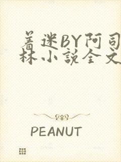 着迷BY阿司匹林小说全文免费阅读