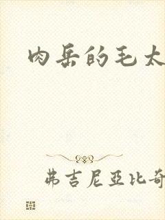 肉岳的毛太浓了