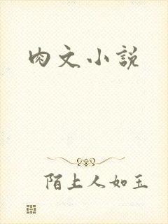 肉文小说