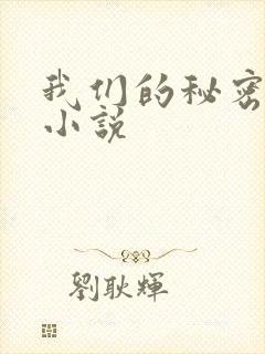 我们的秘密泰剧小说