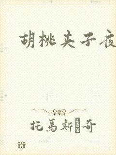 胡桃夹子夜未眠