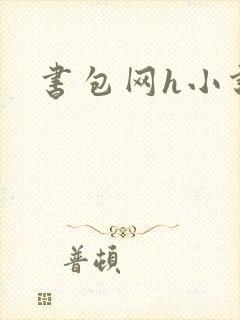 书包网h小说