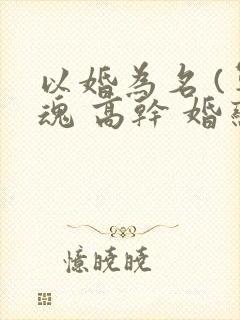 以婚为名 (军魂 高干 婚恋)