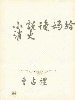 小说后妈给我消消火