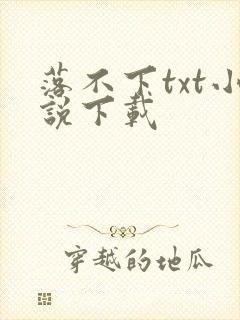 落不下txt小说下载