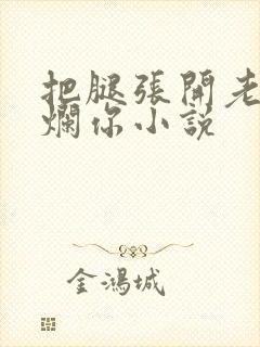 把腿张开老子臊烂你小说