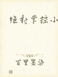 绝对掌控小说