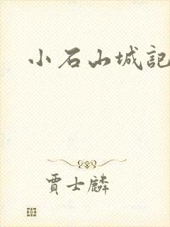 小石山城记