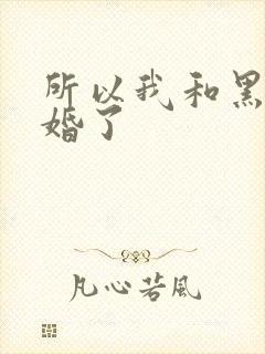 所以我和黑粉结婚了