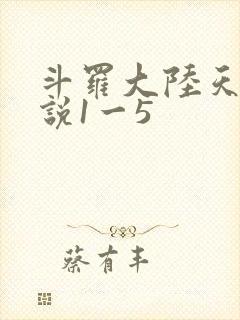 斗罗大陆天狂传说1一5