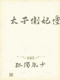 太子侧妃傻乎乎