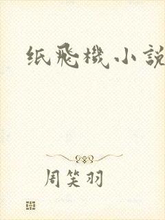 纸飞机小说