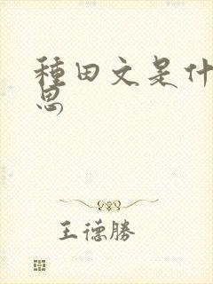 种田文是什么意思