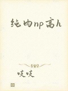 纯肉np高h